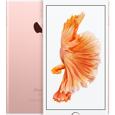 Replace Glass Lens iPhone 6s Plus Hồ Chí Minh Replace Glass Lens iPhone 6s Plus