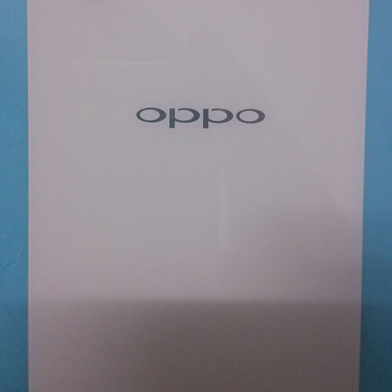 Back Cover Oppo R1 R289 Hồ Chí Minh Back Cover Oppo R1 R289