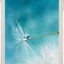 Thay kính cảm ứng OPPO Find Piano R8113