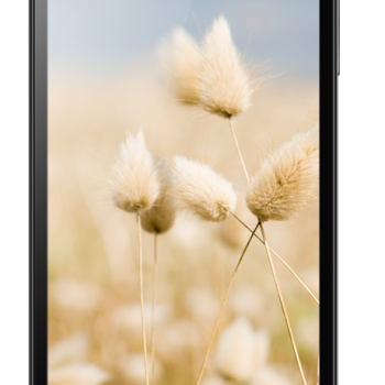 Fixed Repair phone Lenovo damages loa trong loa ngoài Fixed Repair phone Lenovo damages loa trong loa ngoài