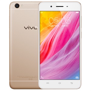 Repair Phones Water Damage Vivo Y55
