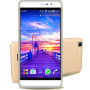 Screen Repair & Replacement Massgo One